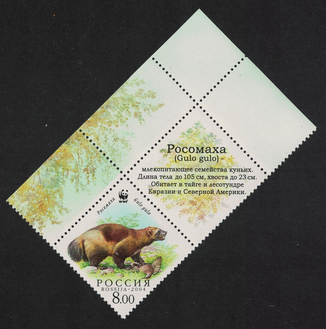 Russian Federation WWF Wolverine With prey Animals Fauna Label 2004 MNH SG#7289 MI#1199 Sc#6857b