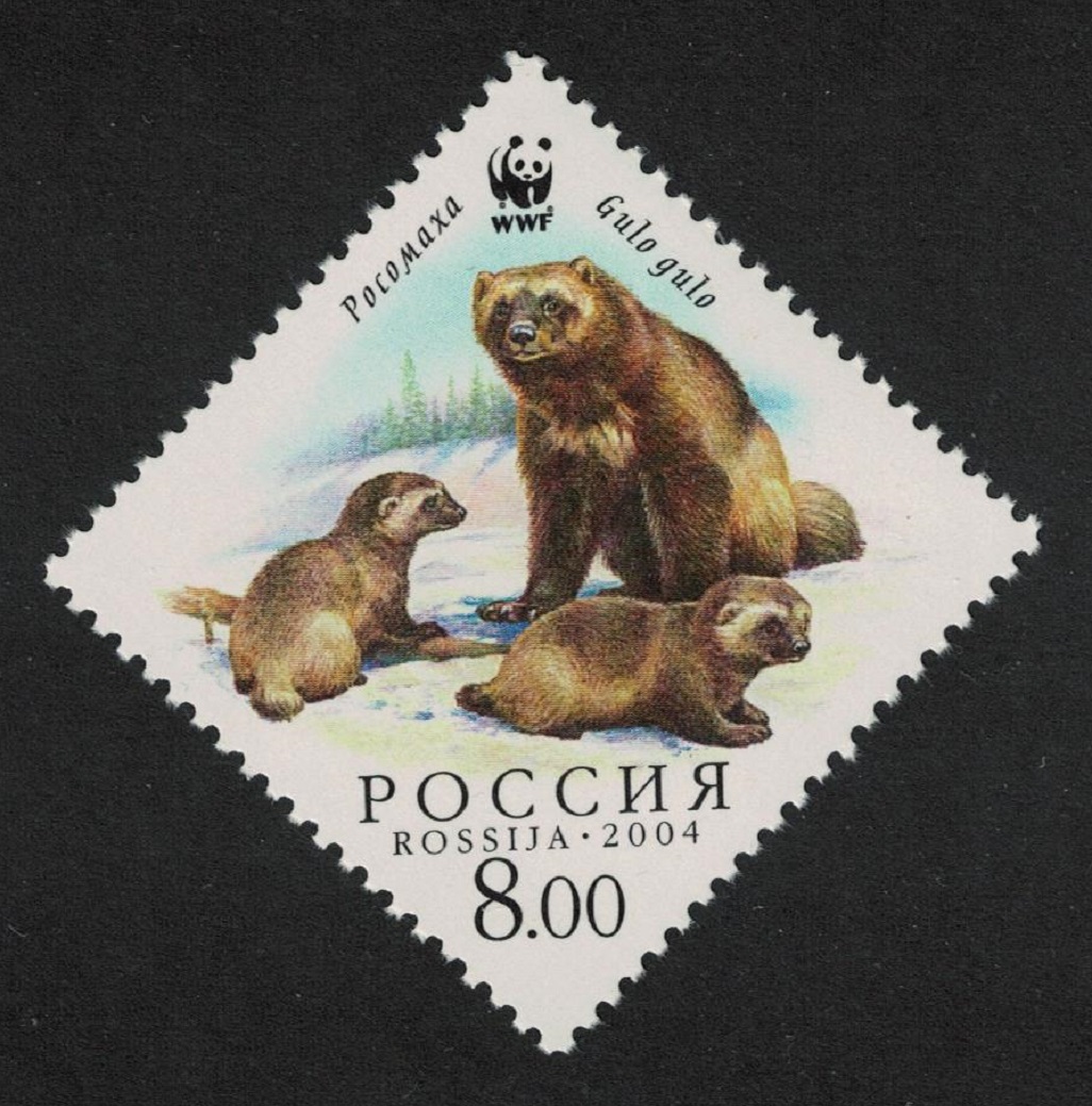 Russian Federation WWF Wolverine Mother and cubs Animals Fauna 2004 MNH SG#7291 MI#1201 Sc#6857d