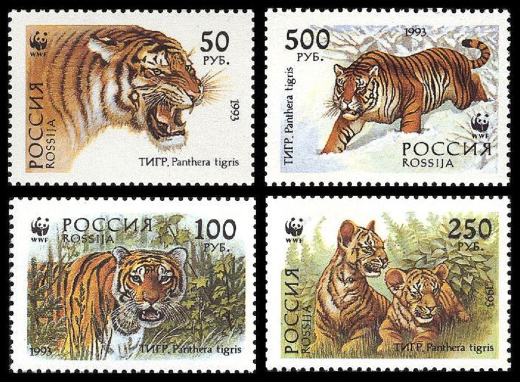 Russian Federation WWF Siberian Tiger 4v 1993 MNH SG#6443-6446 MI#343-346 Sc#6178-6181