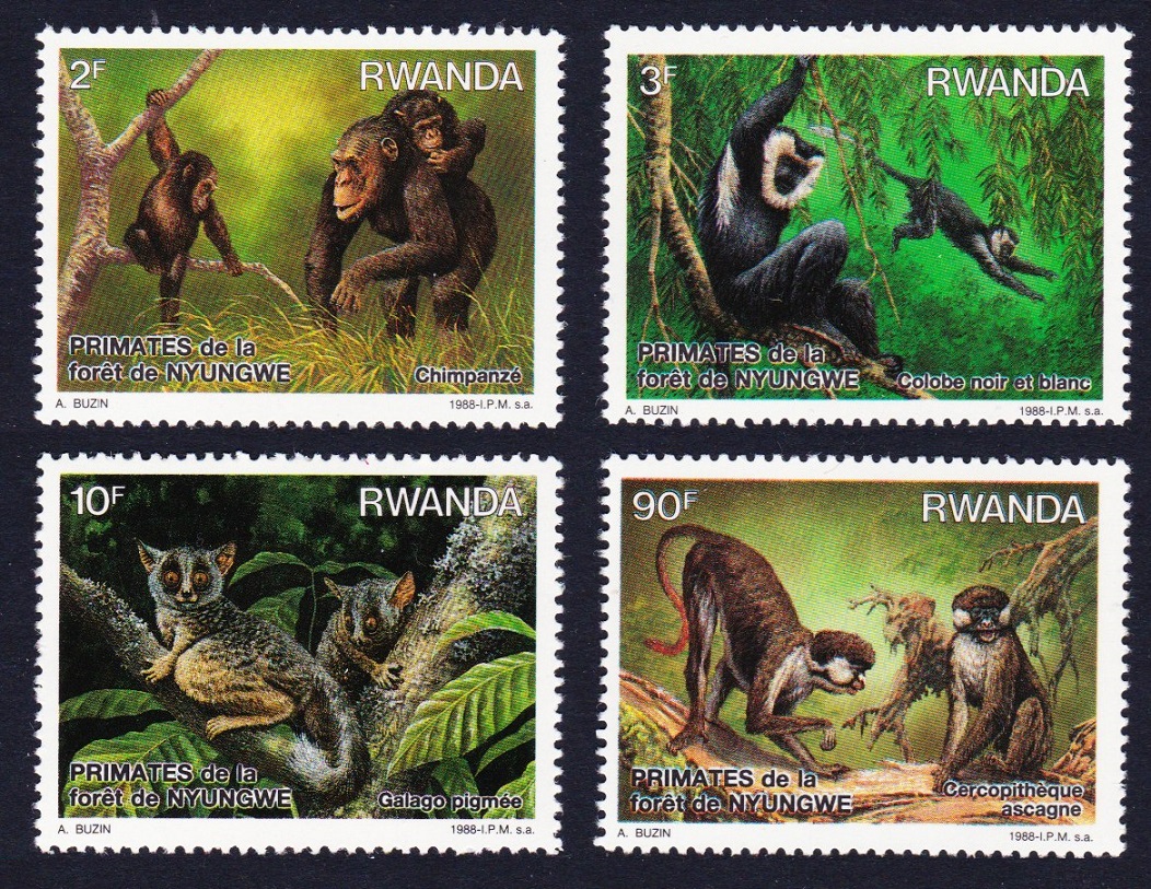 Rwanda Primates of Nyungwe Forest 4v 1988 MNH SG#1316-1319 MI#1389-1392 Sc#1306-1309