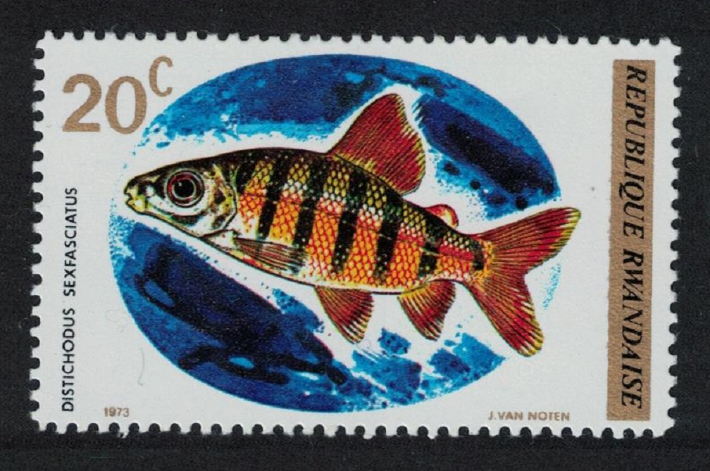 Rwanda Six-banded Distichodus Fish 1973 MNH SG#553 MI#577 Sc#541