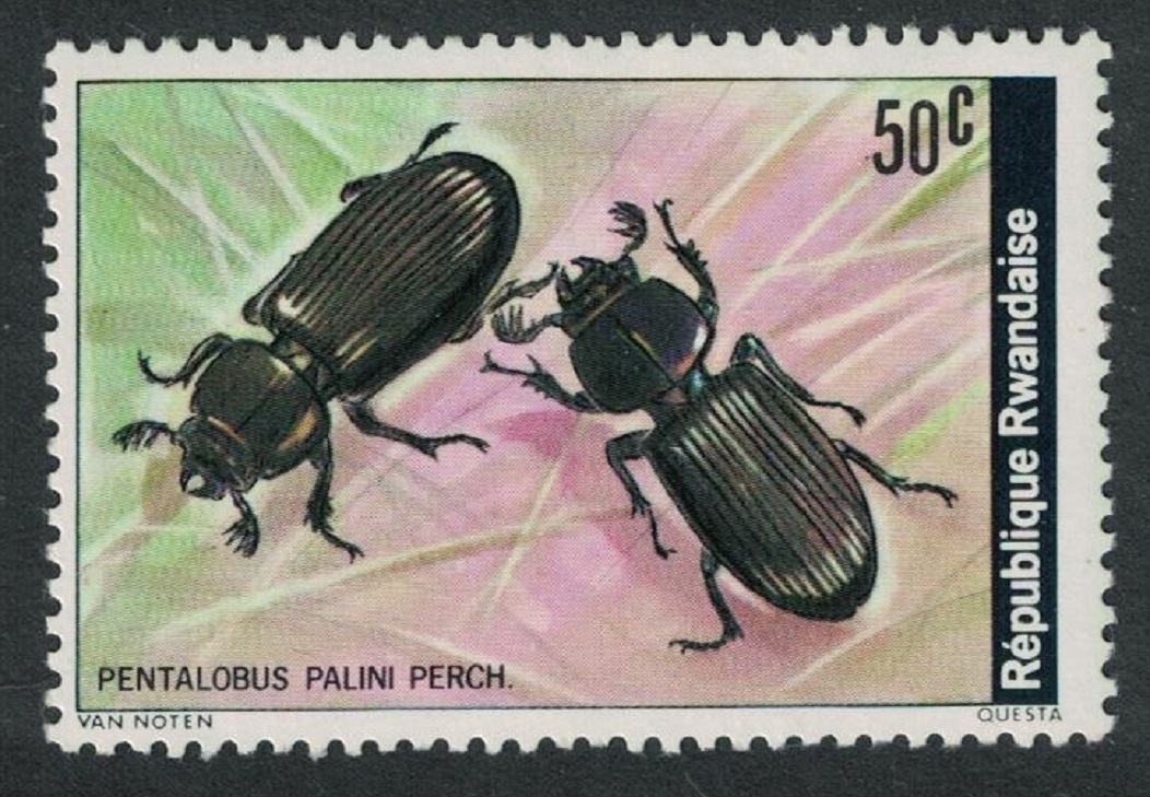 Rwanda Beetle &#39;Pentalobus palini&#39; 1978 MNH SG#869 Sc#867