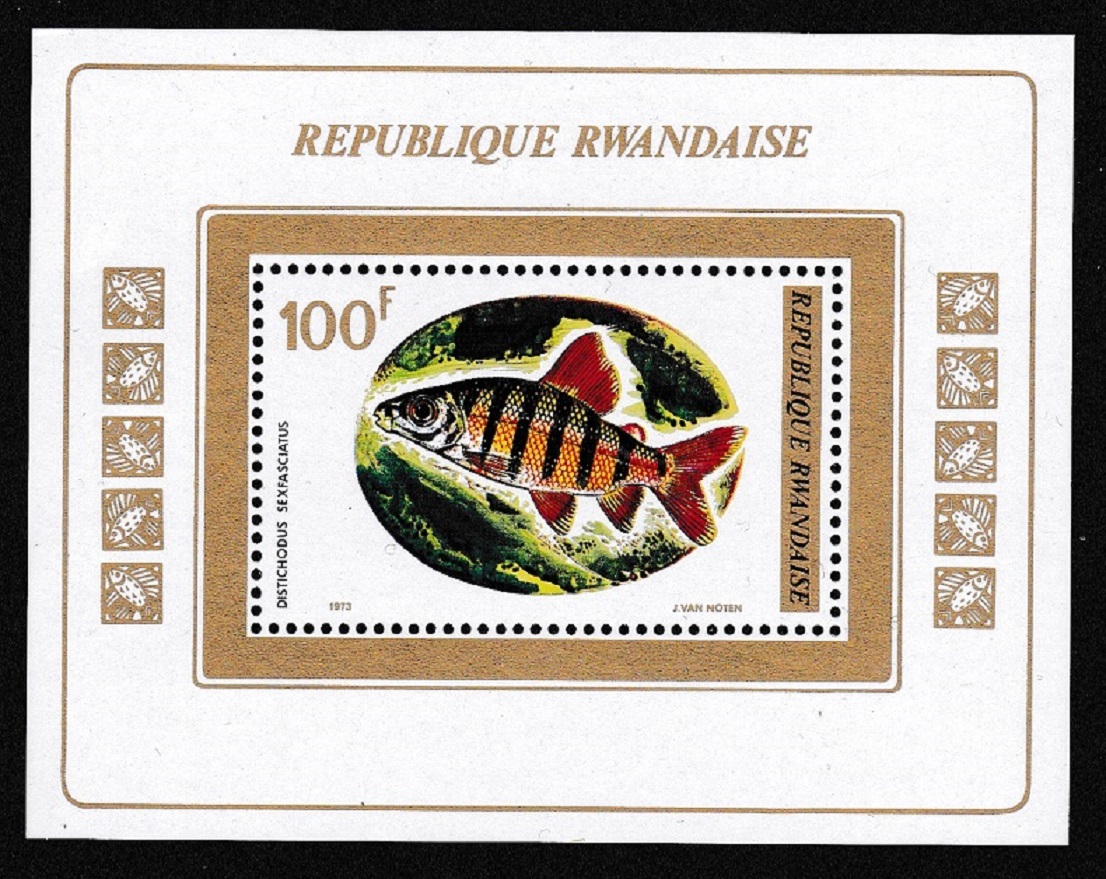 Rwanda Fish MS 1973 MNH SG#MS561 MI#Block 33A Sc#549