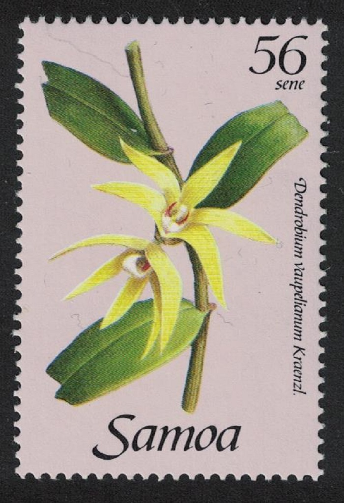 Samoa Orchid &#39;Dendrobium vaupelianum Kraenzl&#39; 56 sene 1985 MNH SG#689