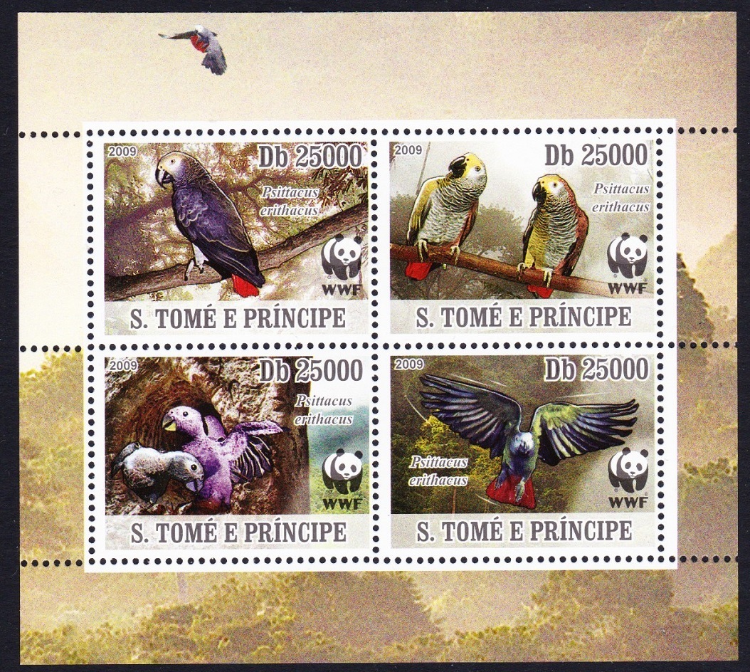 Sao Tome and Principe Birds WWF Grey Parrot 4v Block of 4 2009 MNH MI#3777-3780