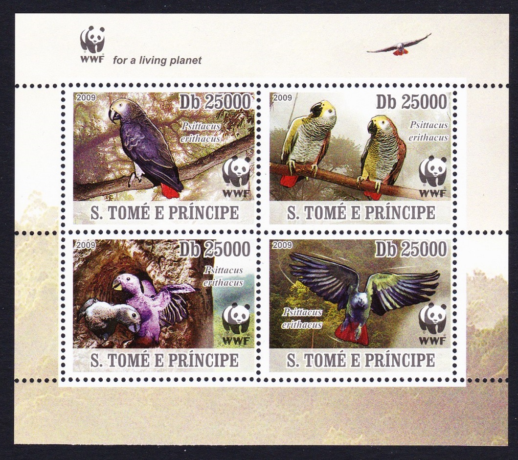 Sao Tome and Principe Birds WWF Grey Parrot 4v Block of 4 WWF Logo 2009 MNH MI#3777-3780