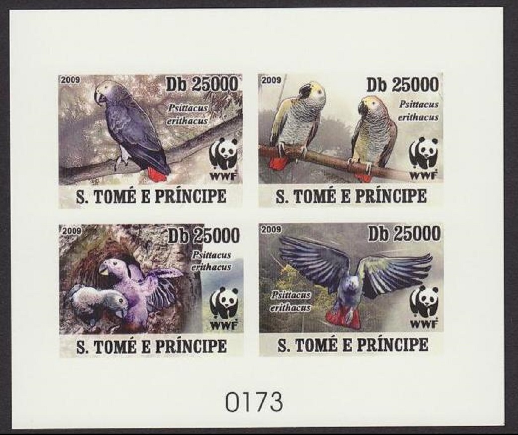 Sao Tome and Principe Birds WWF Grey Parrot De-Luxe Sheet Combo Imperf 2009 MNH MI#3777B-3780B