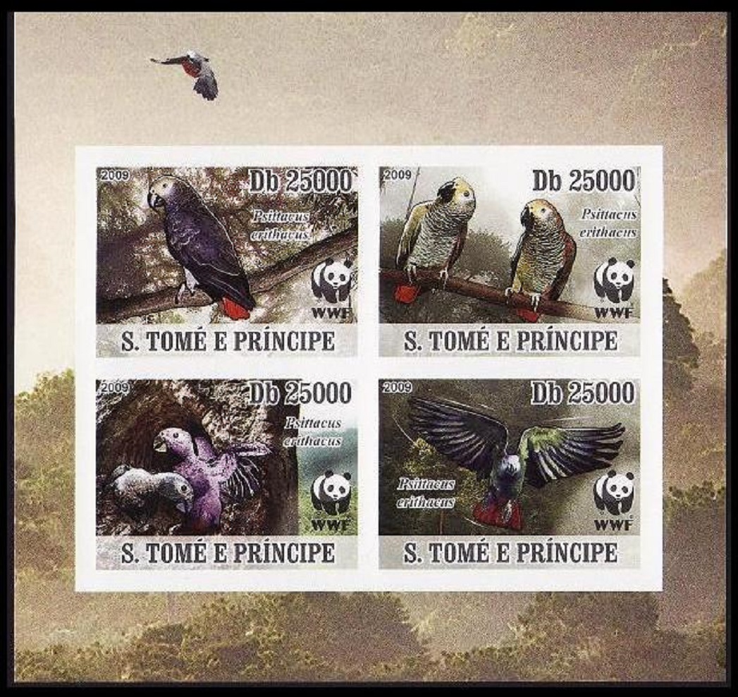 Sao Tome and Principe Birds WWF Grey Parrot 4 Imperf stamps in block 2*2 2009 MNH MI#3777B-3780B