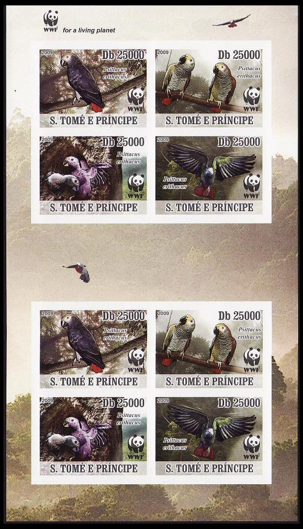 Sao Tome and Principe Birds WWF Grey Parrot Imperf Sheetlet of 2 sets 2009 MNH MI#3777B-3780B