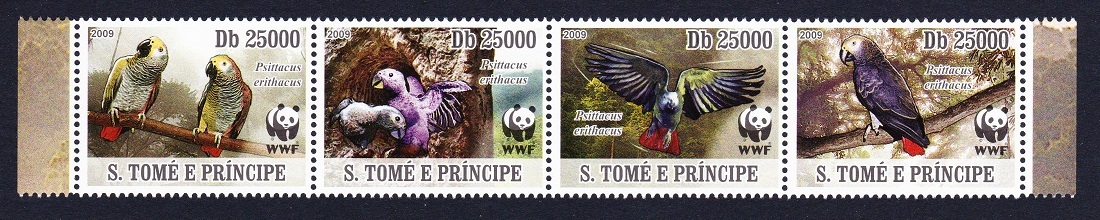 Sao Tome and Principe Birds WWF Grey Parrot Strip of 4v 2009 MNH MI#3777-3780