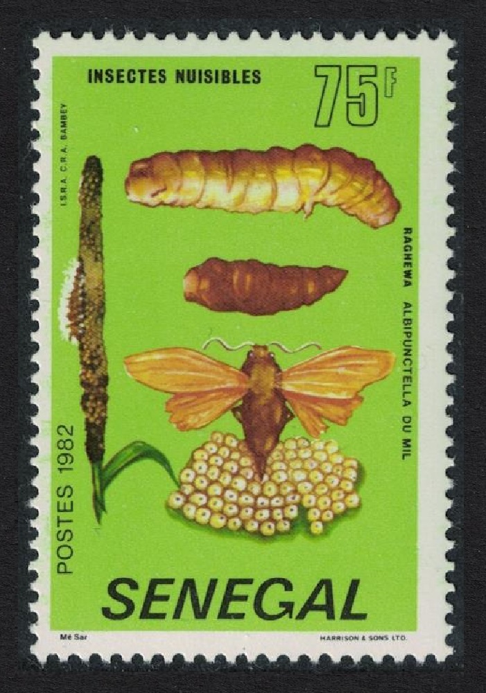 Senegal &#39;Rhaguva albipunctella&#39; Harmful Insect 1982 MNH SG#748 MI#767