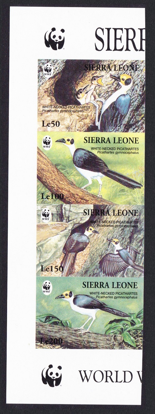 Sierra Leone Birds WWF White-necked Picathartes Side Strip of 4v imperf 1994 MNH SG#2150-2153