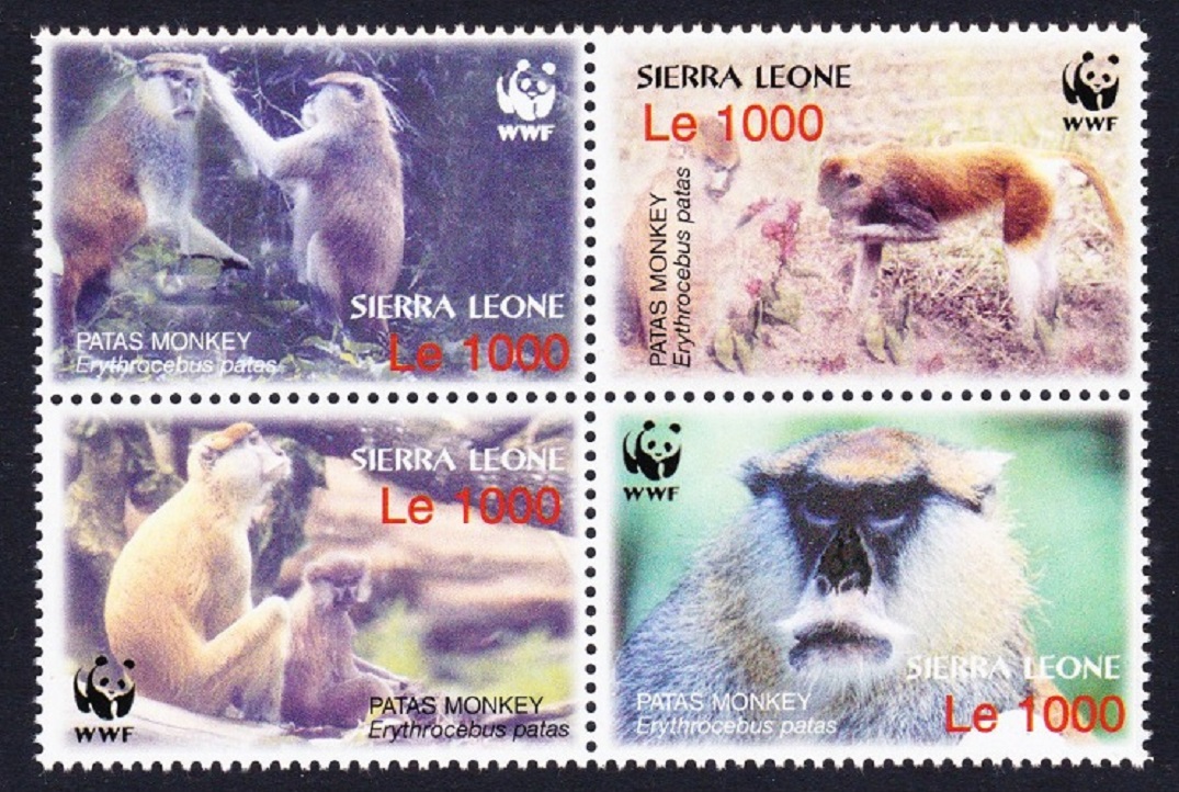 Sierra Leone WWF Patas Monkey Block 2*2 2004 MNH SG#4290-4293 MI#4694-4697 Sc#2752 a-d