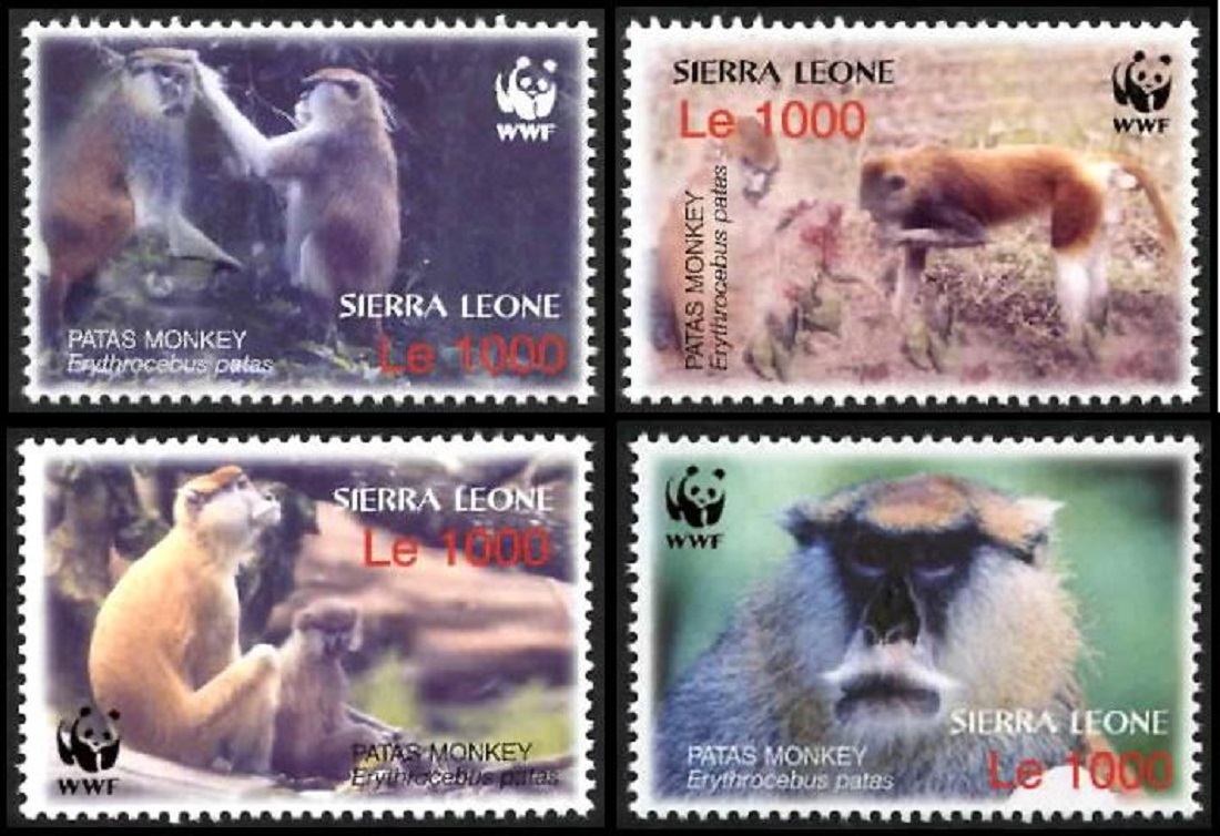 Sierra Leone WWF Patas Monkey 4v 2004 MNH SG#4290-4293 MI#4694-4697 Sc#2752 a-d