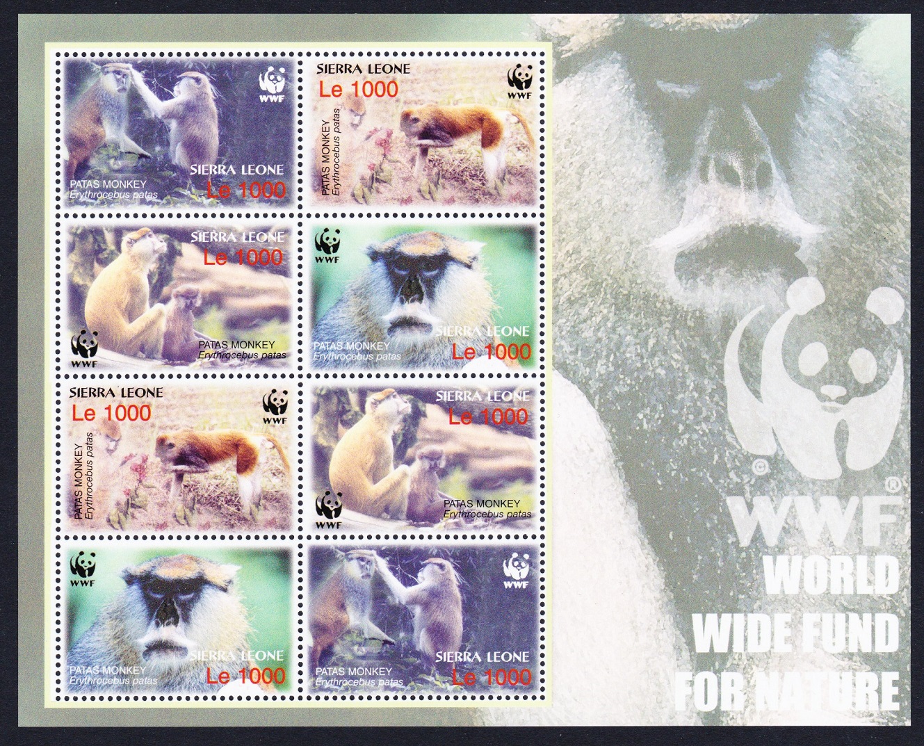 Sierra Leone WWF Patas Monkey MS 2004 MNH SG#4290-4293 MI#4694-4697 Sc#2752 a-d