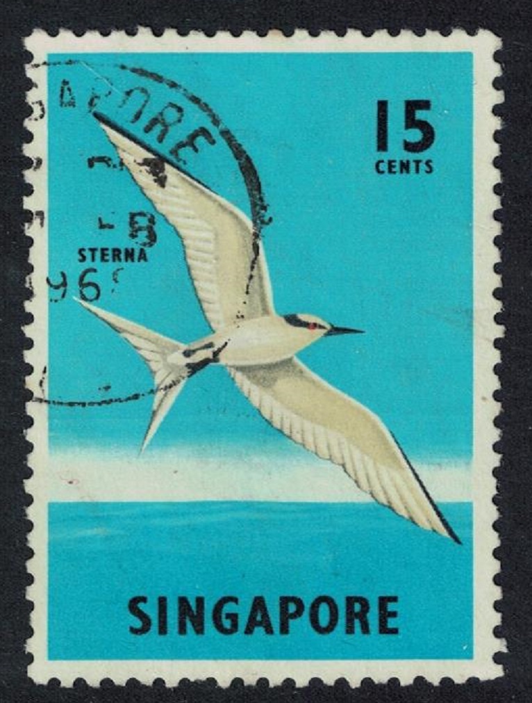 Singapore Black-naped tern Bird 15c 1966 Canc SG#70a