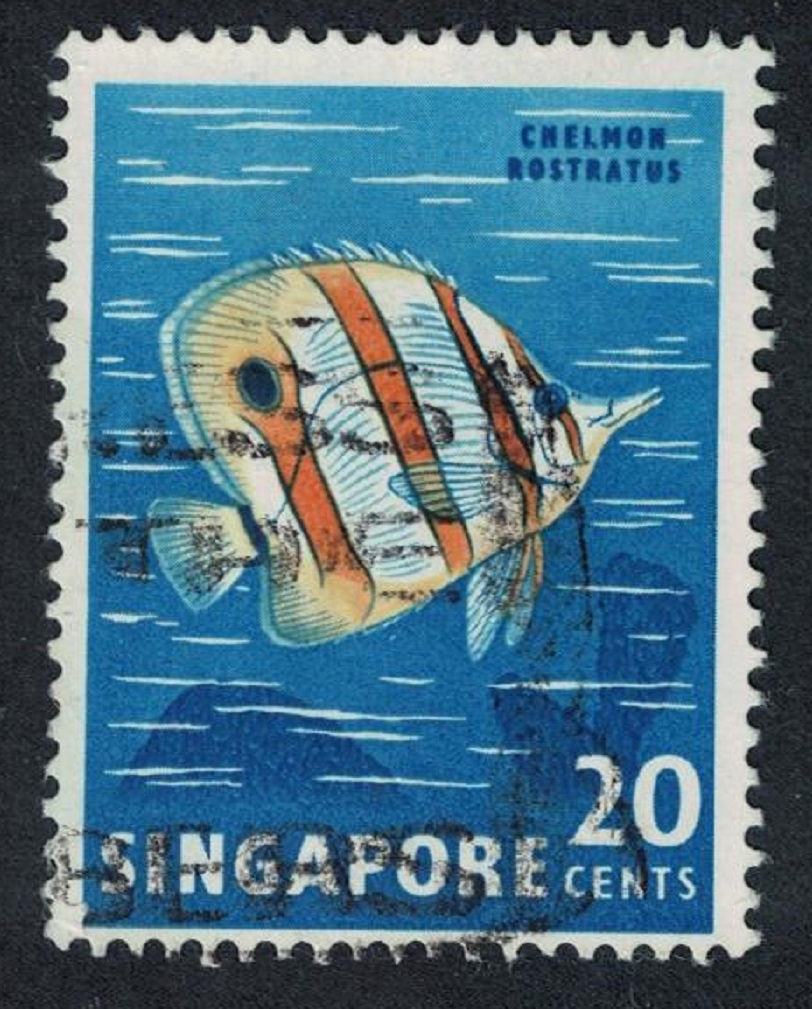 Singapore Copper-banded butterflyfish Fish 1962 Canc SG#71