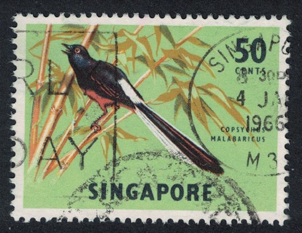 Singapore White-rumped shama Bird 50c 1963 Canc SG#74