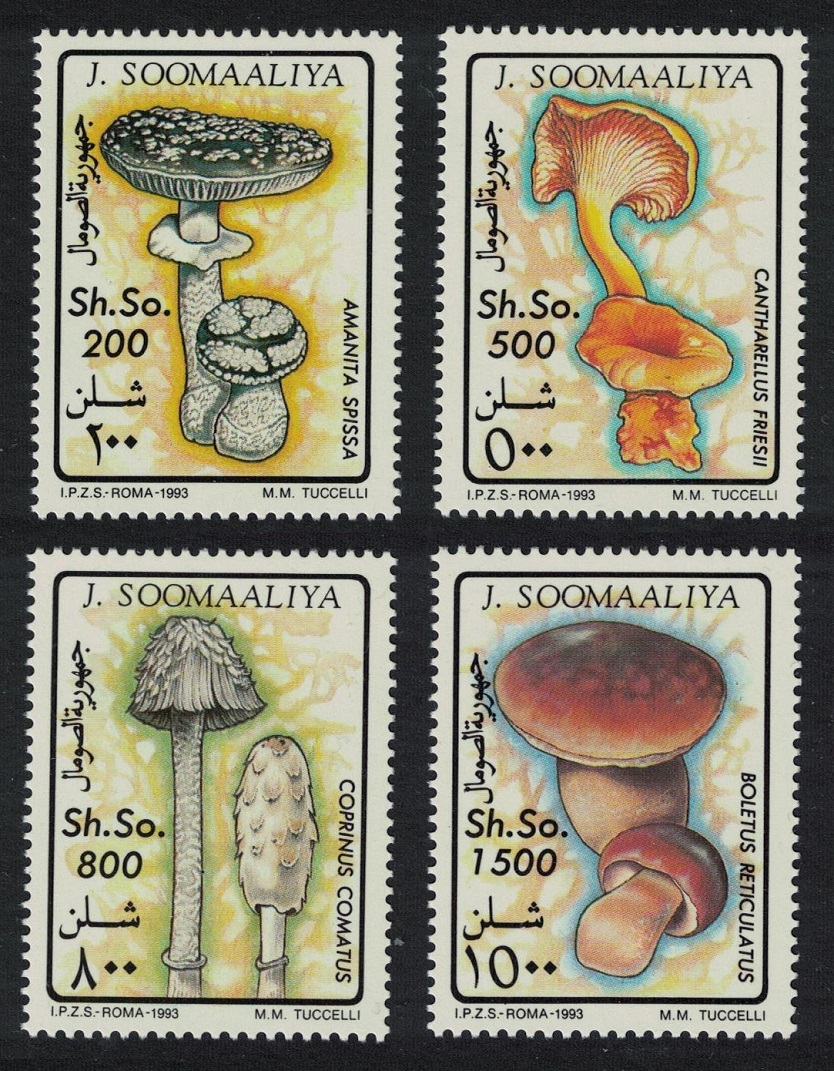 Somalia Fungi Mushrooms 4v 1993 MNH MI#468-471