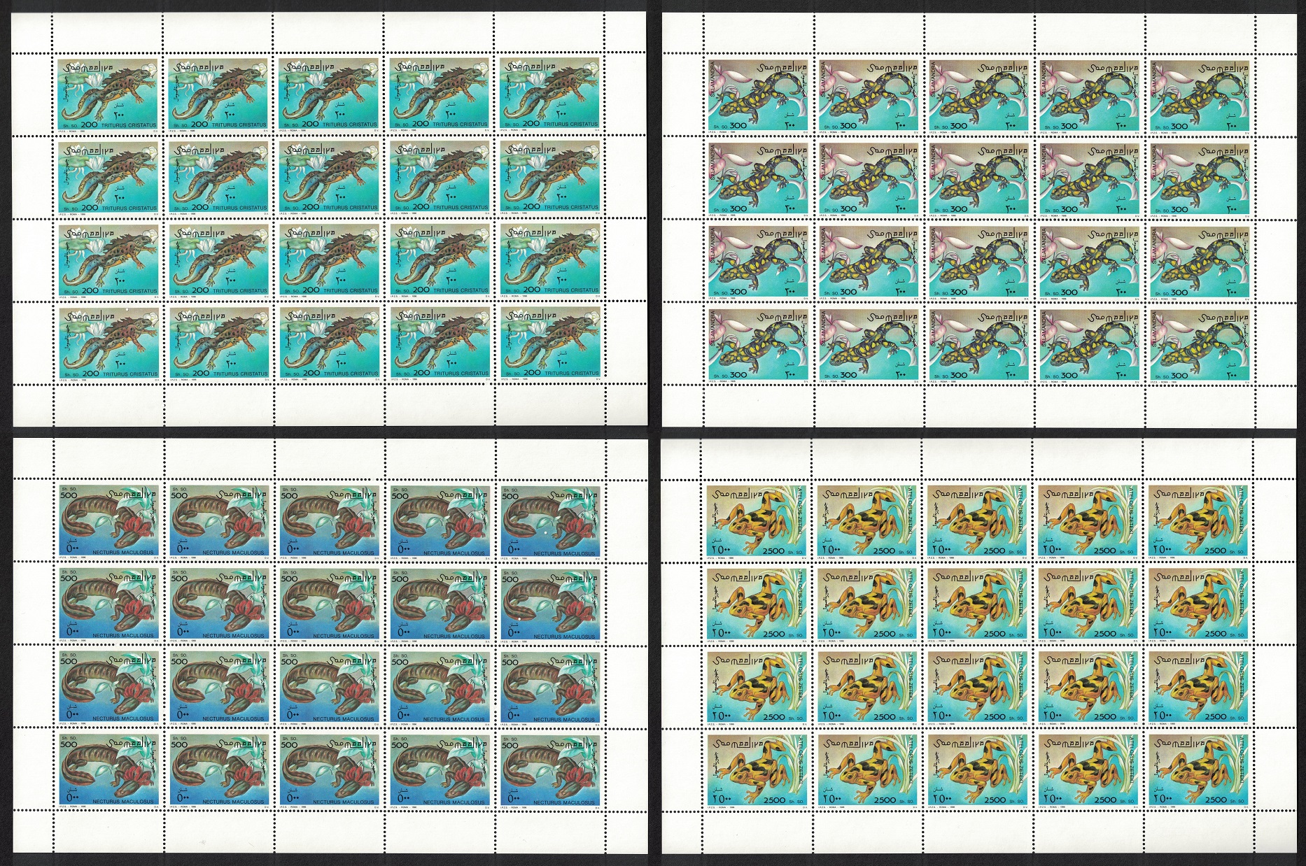 Somalia Amphibians 4v Sheets 1996 MNH MI#580-583