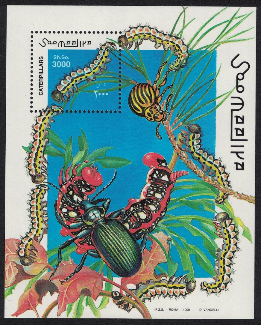 Somalia Beetle Caterpillars MS 1999 MNH MI#Block 61