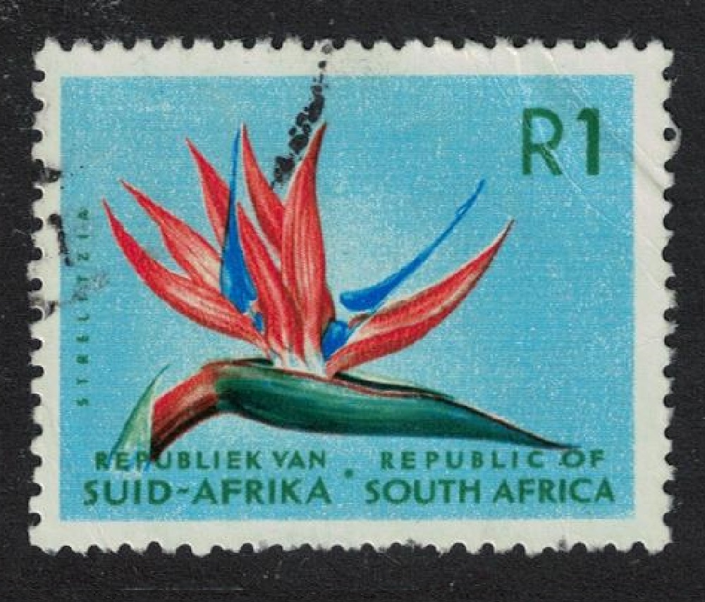 South Africa Strelitzia R1 1961 Canc SG#210