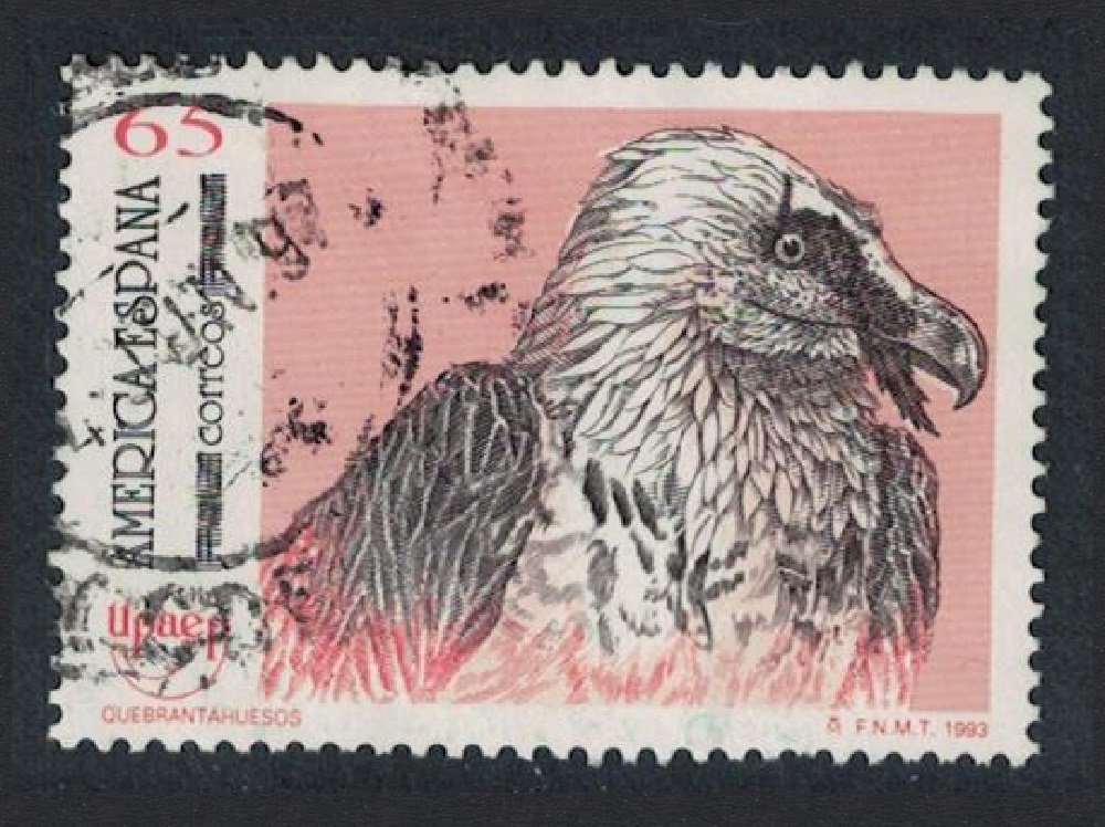 Spain Lammergeier Bird 1993 Canc SG#3248 MI#3129