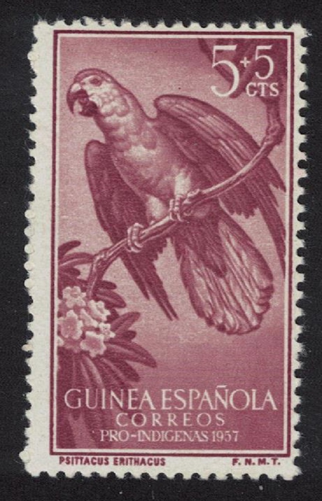 Spanish Guinea Grey Parrot Birds 3v 1957 MNH SG#418 MI#330