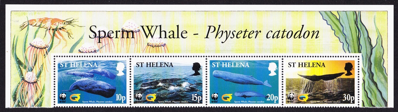 Saint Helena WWF Sperm Whale Strip of 4v with Latin Name 2002 MNH SG#872-875 MI#852-855 Sc#813-816