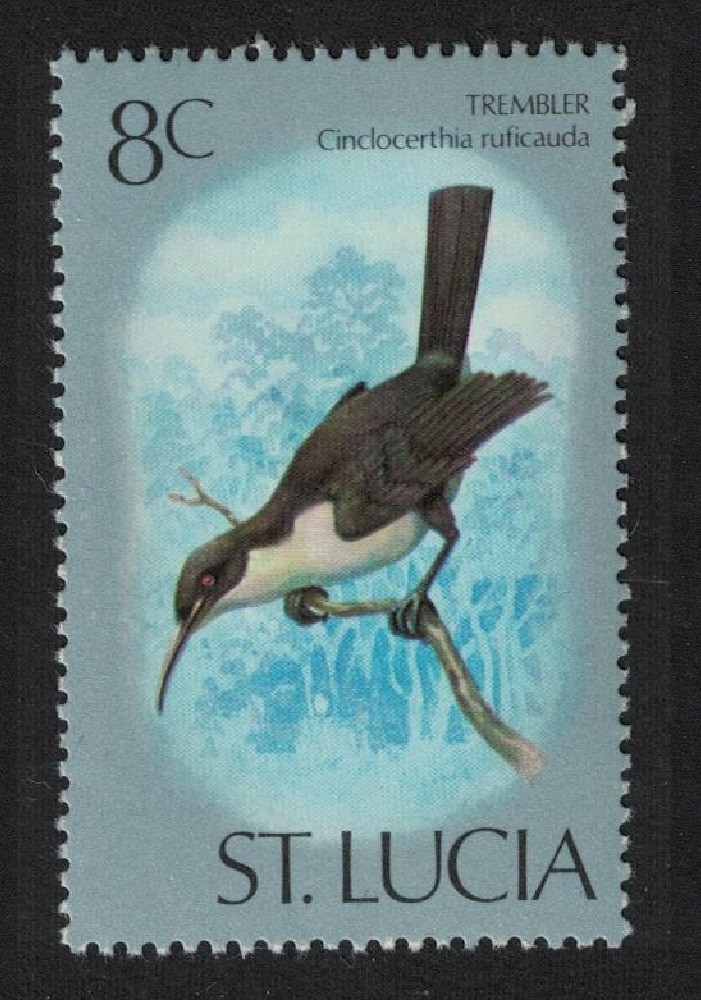 Saint Lucia Grey Trembler Bird 8c 1976 MNH SG#420