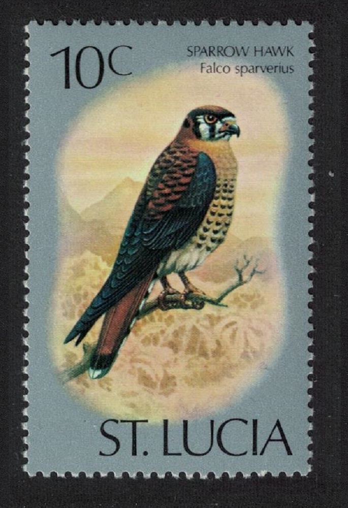 Saint Lucia American kestrel Sparrow Hawk Bird 10c 1976 MNH SG#421