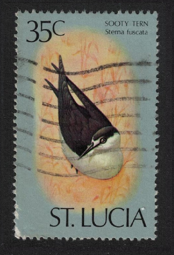 Saint Lucia Sooty tern Bird 35c T2 1976 Canc SG#425