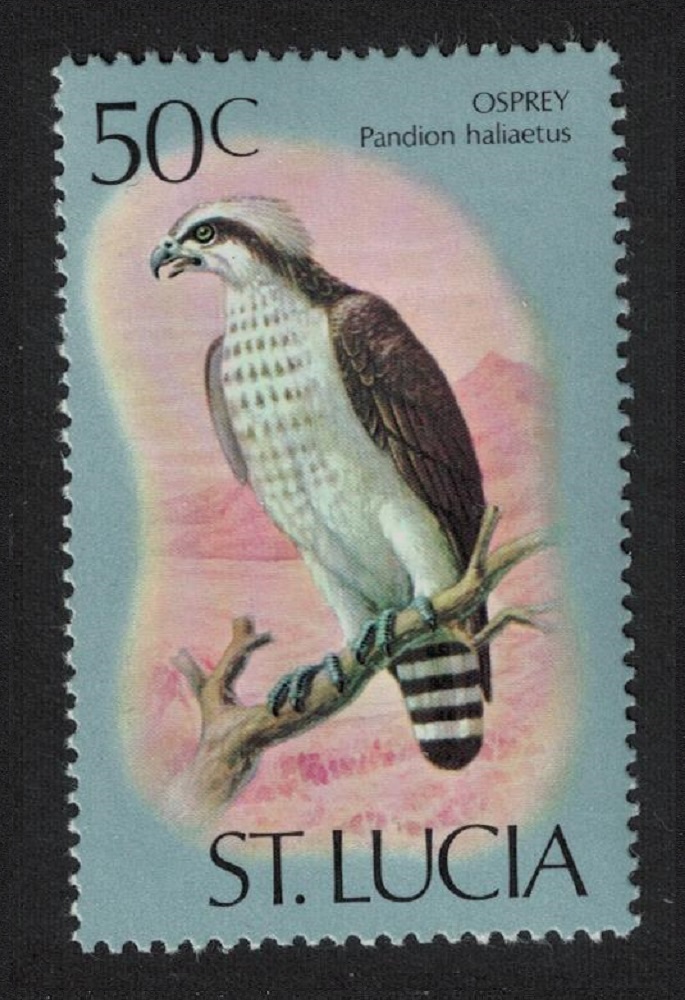 Saint Lucia Osprey Bird 50c 1976 MNH SG#426