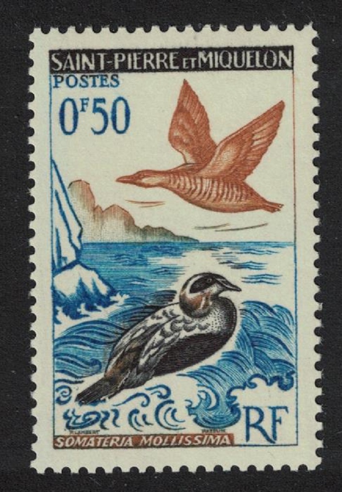 Saint Pierre and Miquelon Birds Eider ducks 50c 1963 MNH SG#422 MI#398 Sc#362