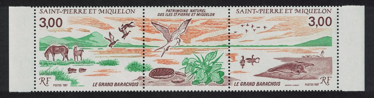 Saint Pierre and Miquelon Horses Ducks Gulls Geese Birds 2v Strip 1987 MNH SG#596-597