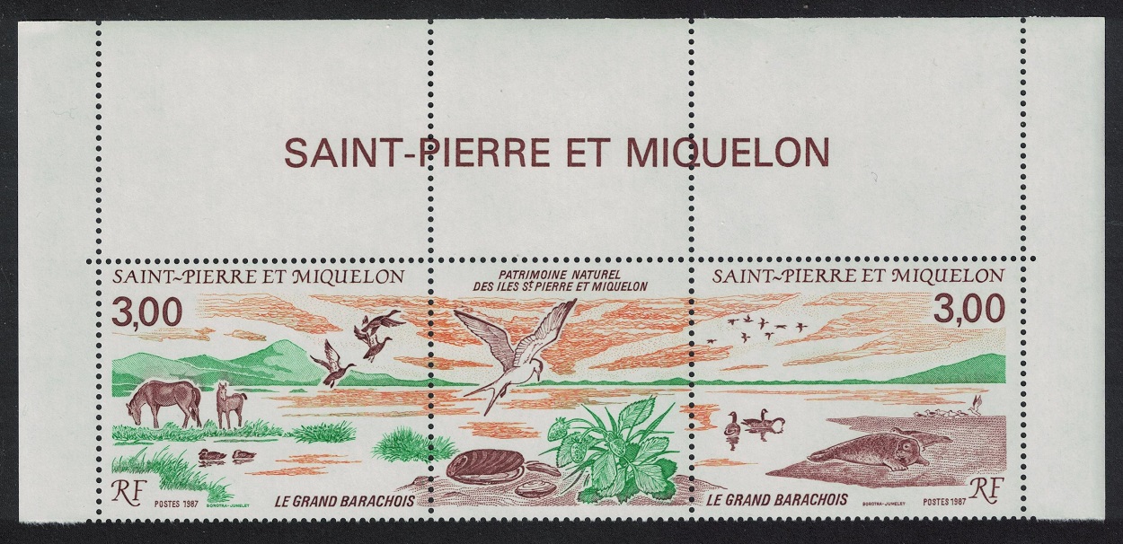 Saint Pierre and Miquelon Horses Ducks Gulls Geese Birds 2v Top Strip 1987 MNH SG#596-597