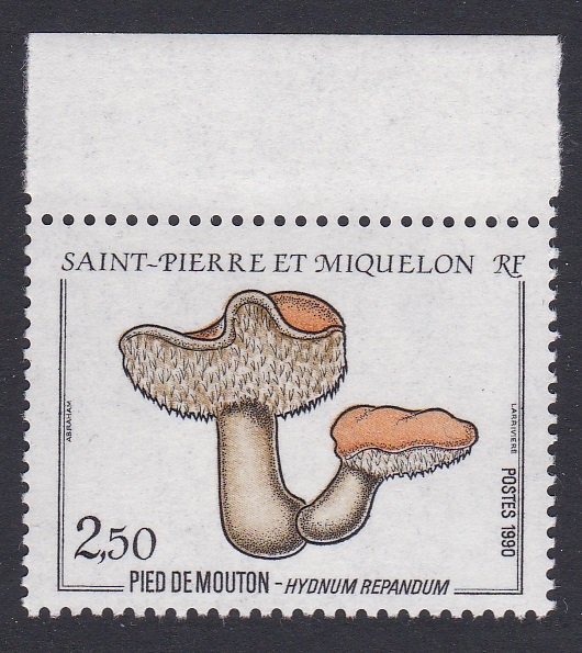 Saint Pierre and Miquelon Hedgehog fungus &#39;Hydnum repandum&#39; Fungi Mushrooms 1990 MNH SG#645 Sc#490