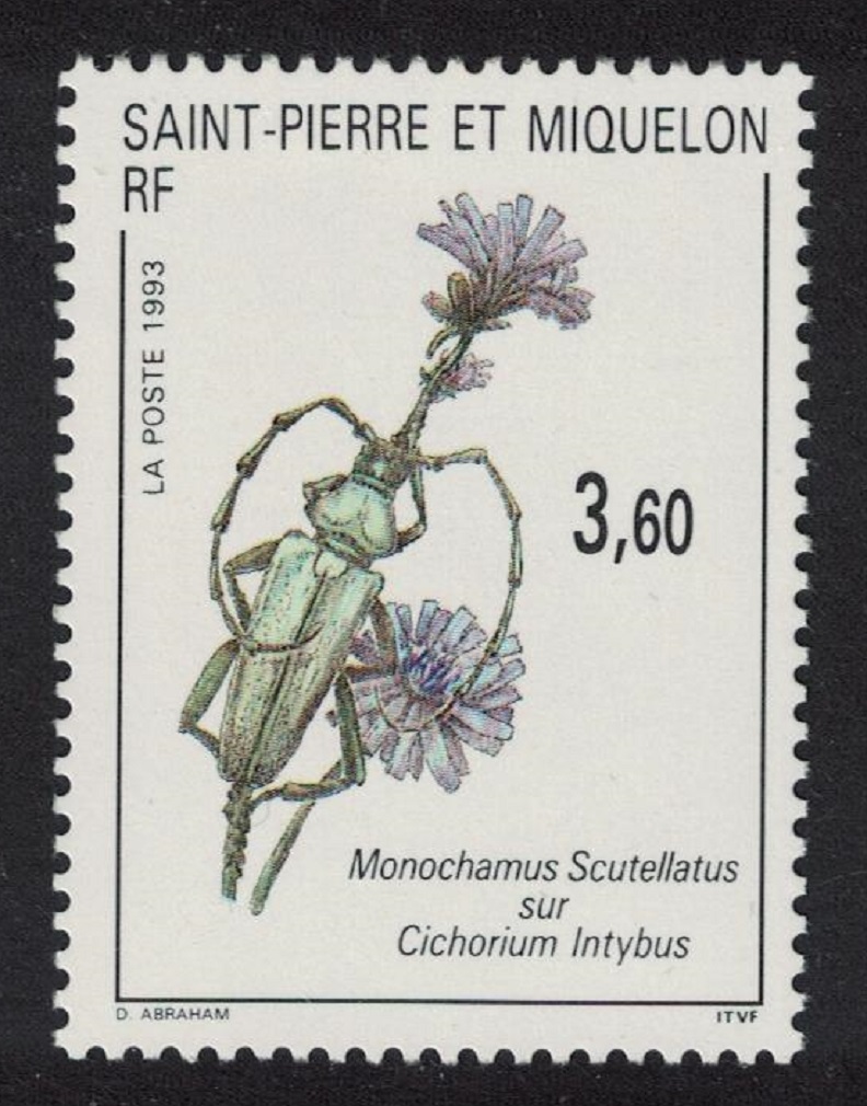 Saint Pierre and Miquelon Longhorn Beetle on Cichorium intybus 1993 MNH SG#693