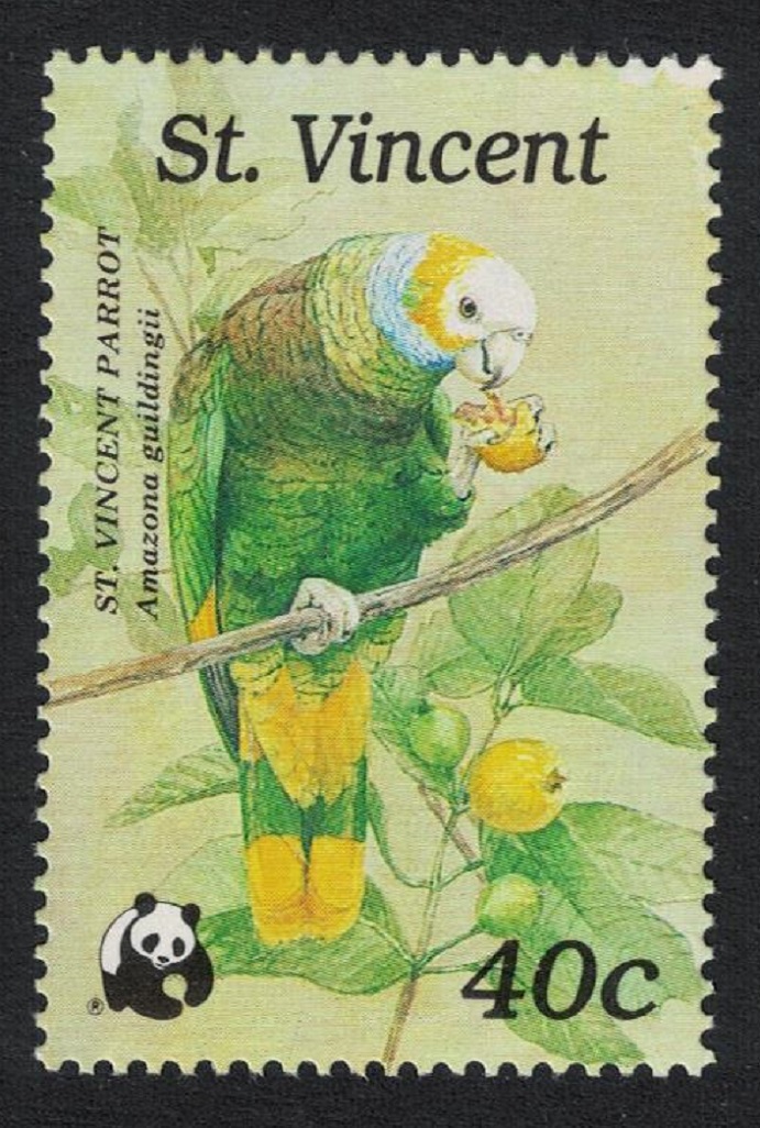 Saint Vincent Amazon Feeding Bird WWF 1989 MNH SG#1242