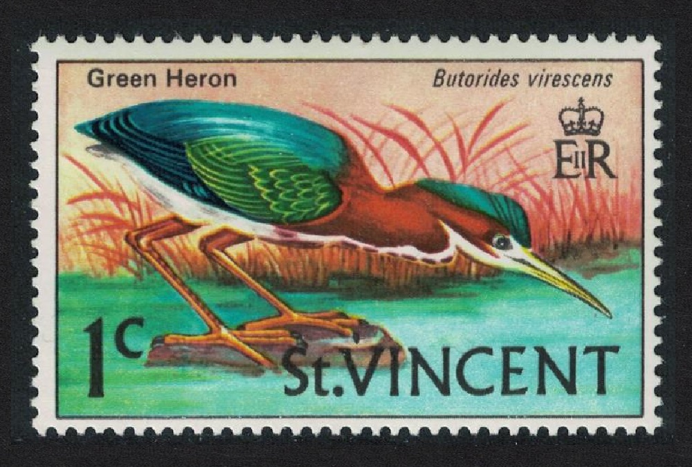 Saint Vincent Green-backed Heron &#39;Green Heron&#39; Bird 1c 1985 MNH SG#286