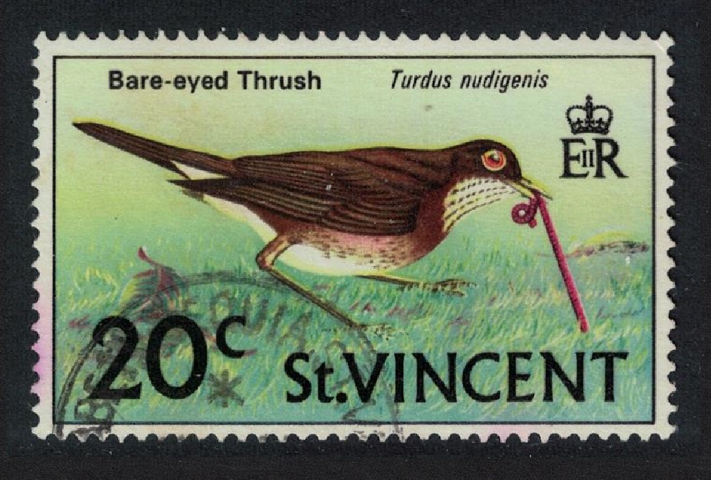 Saint Vincent Bare-eyed Thrush Bird 20c. 1985 MNH SG#295