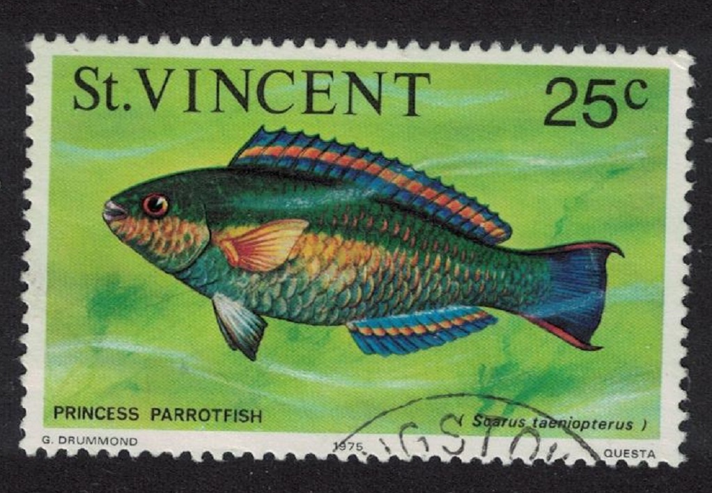 Saint Vincent Princess parrotfish Fish Imprint &#39;1975&#39; Canc SG#434