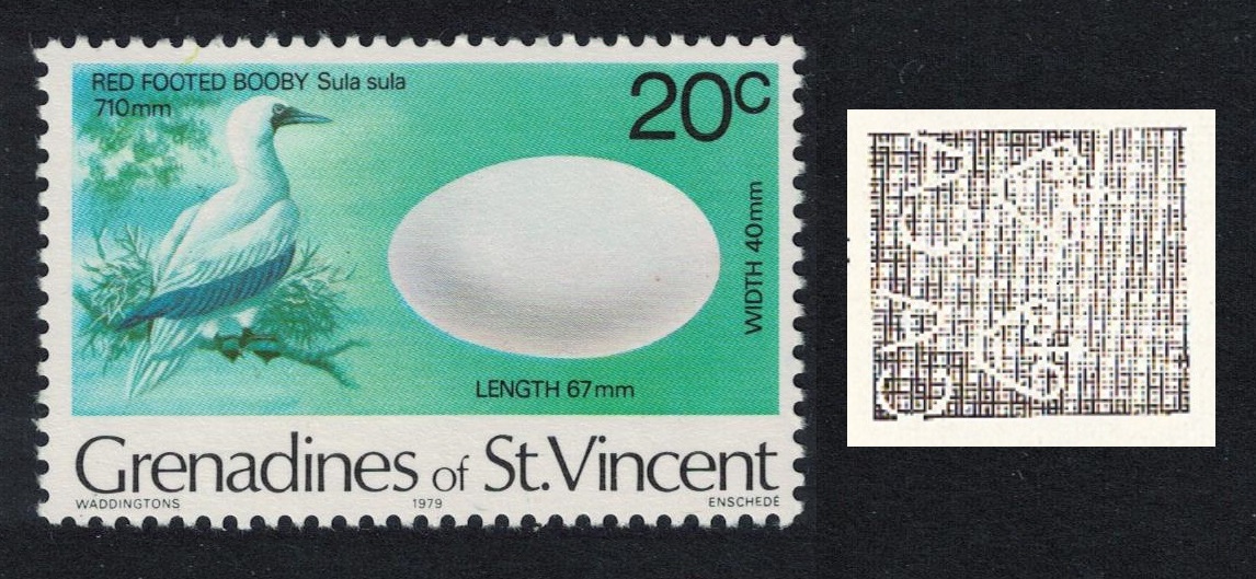 Saint Vincent Grenadines Booby Bird and Egg inscript &#39;1979&#39; WATERMARK Var 1980 MNH SG#120w