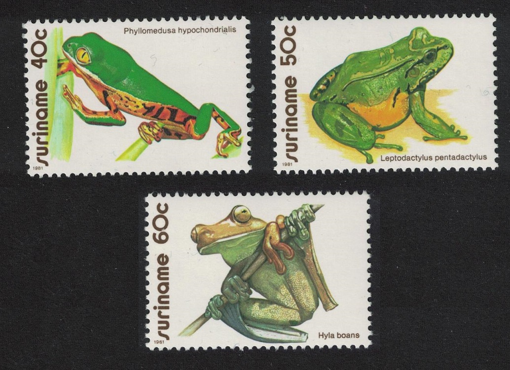 Suriname Frogs 3v 1981 MNH SG#1040-1042 MI#948-950 Sc#574-576