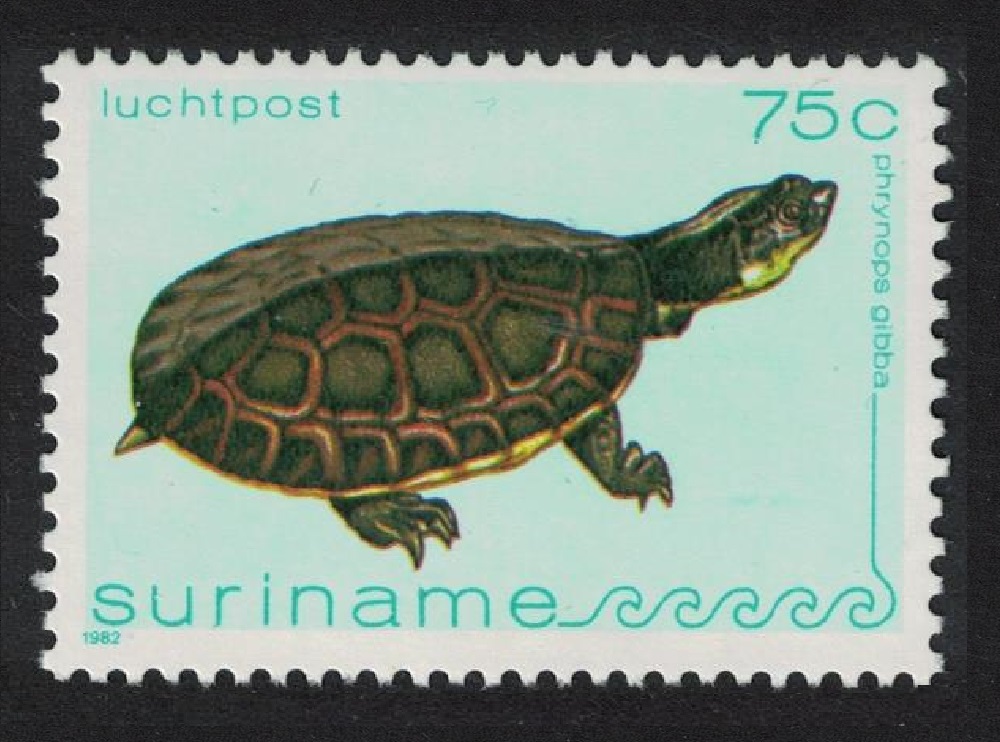 Suriname Turtle &#39;Phrynops gibba&#39; 1982 MNH SG#1070