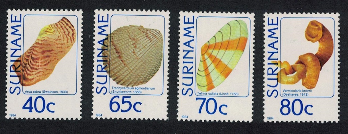 Suriname Sea Shells 4v 1984 MNH SG#1169-1172