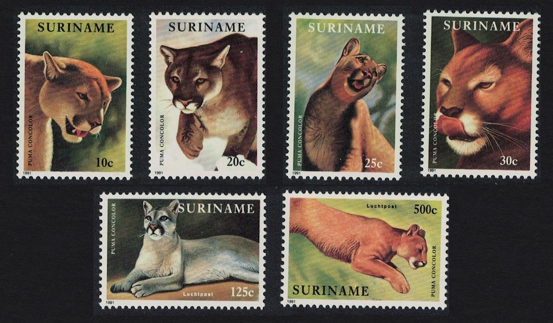 Suriname The Puma 6v 1991 MNH SG#1484-1489 Sc#892-897