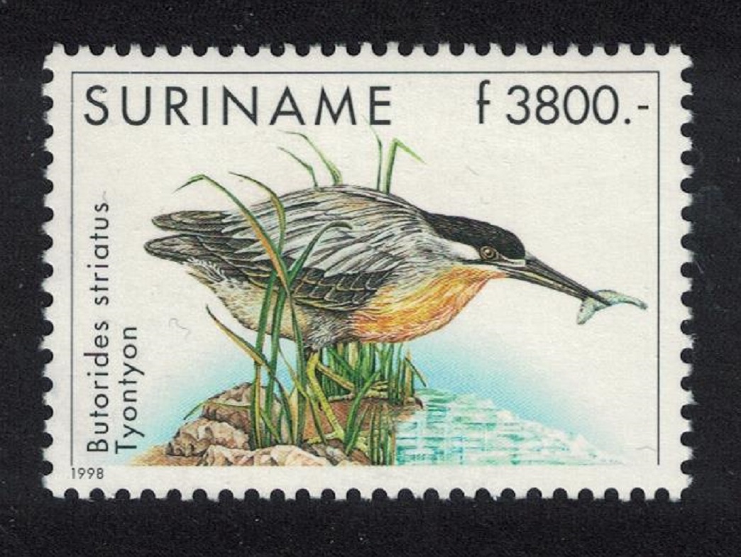 Suriname Green-backed Heron Bird 1998 MNH SG#1770