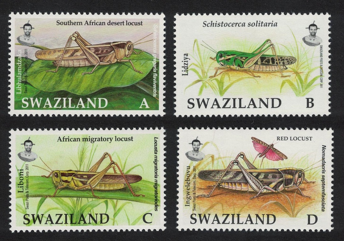 Swaziland Locusts and Grasshoppers Letters 4v 2012 MNH SG#809-812