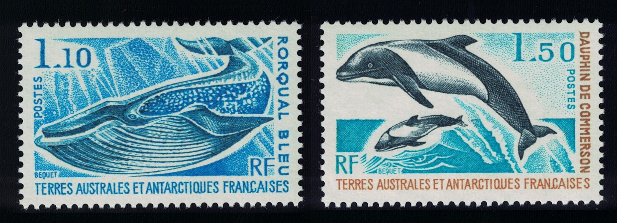 French Southern and Antarctic Territories Whale Dolphins Marine Mammals 2v 1977 MNH SG#113-114 MI#113-114 Sc#67-68